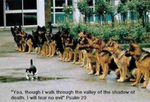 walk through the valley of the shadow of death