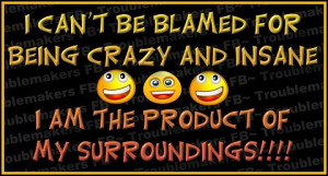 funny quotes about being crazy
