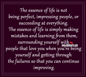 Life Is Not Being Perfect