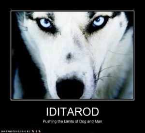 My sport - THE IDITAROD! No other sport tests the endurance of man ...