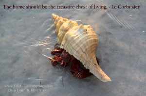 ... Crab, shell, sea, water, beach, ocean.Spring Quotes, Le Corbusier