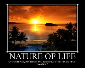 Nature Quotes About Life