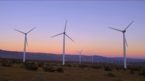 HD Wind Farm / Palm Springs / USA – Stock Video # 803-587-197