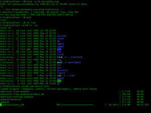 Description Linux command-line. Bash. GNOME Terminal. screenshot.png