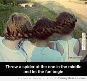 Funny memes – [Throw a spider...]