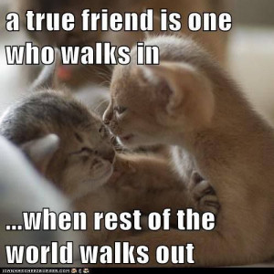 True Friend...