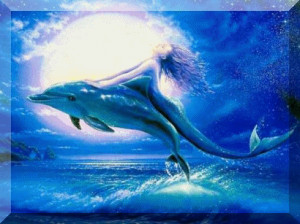 Dolphin Art - dolphins Fan Art