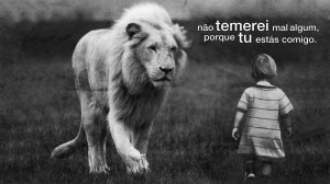 Dani Vieira - Vivendo e Aprendendo