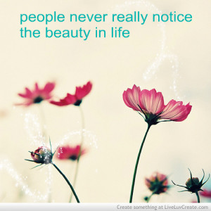 beautiful, cute, life is beautiful 3, quote, quotes