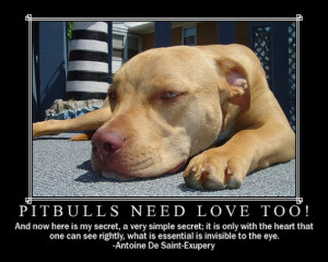 Cute Pit Bulls Help pit bulls then start