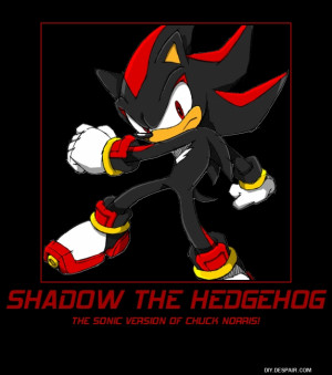 Baby Shadow The Hedgehog Salty