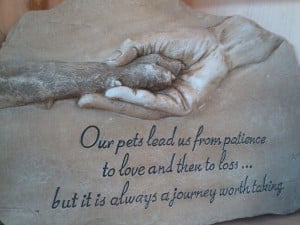 ... Quotes, Dogs Animal, Pets Loss, Quotes Fun, Pets Lead, Losing A Pet