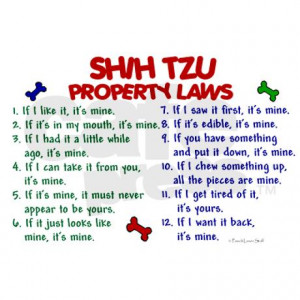 shih_tzu_property_laws_2_stein.jpg?height=460&width=460&padToSquare ...