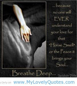Horse smell or peace it bring your soul – horse smell quotes