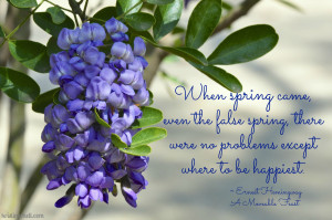 Tortellini Soup {and an awesome iTunes playlist}