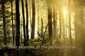 smoky mountain christian village quotes