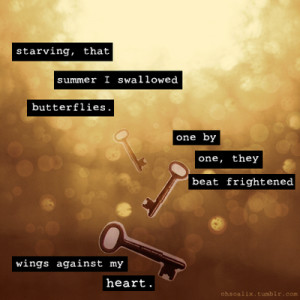 quotations image quotes bokeh circles butterflies wings typography ...