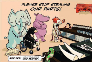 Uploaded to Pinterest