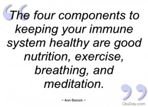 the four components to keeping your immune