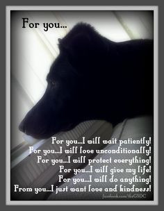 Pet Bereavement