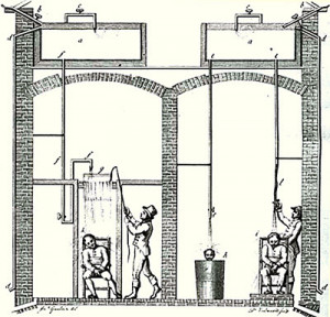 Benjamin Rush Quotes On Medicine