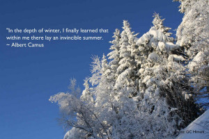 20 Best and Chilly Winter Quotes 6