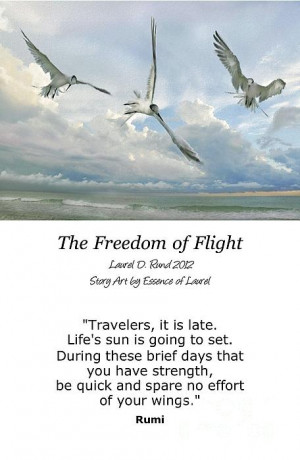 The Freedom Of Flight Print by Laurel D Rund