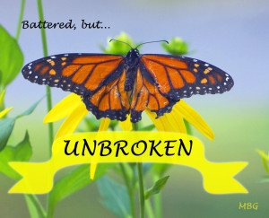 Inspirational Quotes On Butterflies
