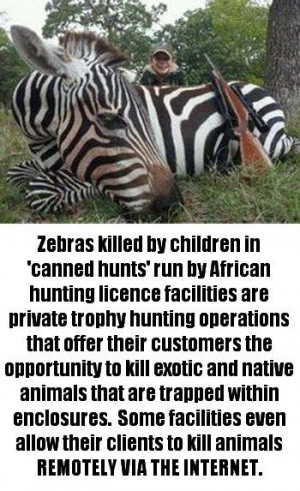 ... Hunters Trappers Poached, Animal Ally, Beautiful Baby, Trophy Hunting