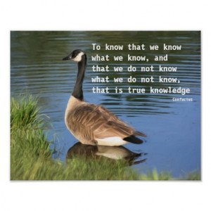 Canada Goose Confucius Quote Inspirational Poster