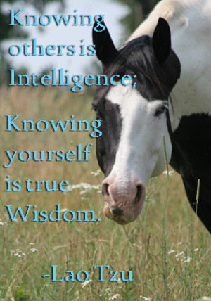 Knowing Yourself Quotes
