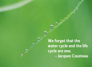 We Forget That The Water Cycle And The Life Cycle Are One