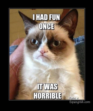 Back > Gallery For > grumpy cat i had fun once