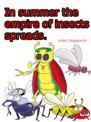 ... In summer the empire of insects spread”, a quote by Adam Zagajewski