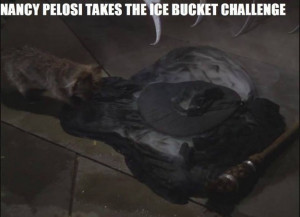Pelosi Takes Ice Bucket Challenge