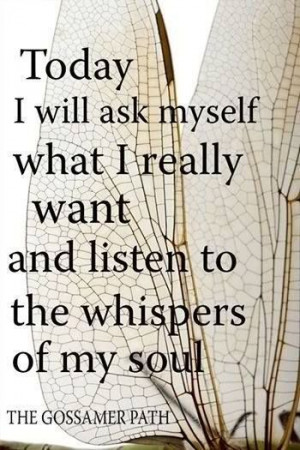What Do You Really Want? shhhhhh ... your soul is speaking