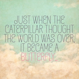 Just when the caterpillar thought the world was over, it became a ...