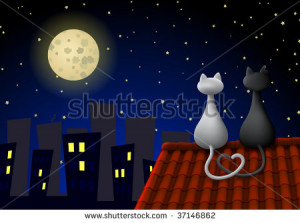 stock-photo-two-cats-sitting-on-a-roof-at-night-looking-at-the-moon ...