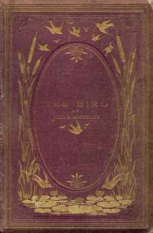 bird.jpg 1,257×1,908 pixels