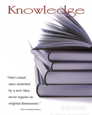 Knowledge (Books, Oliver Wendell Holmes Quote) Art Poster Print Mini ...