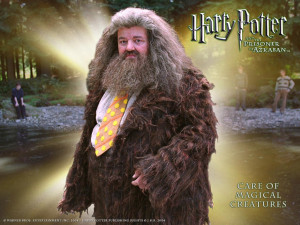 Hagrid: