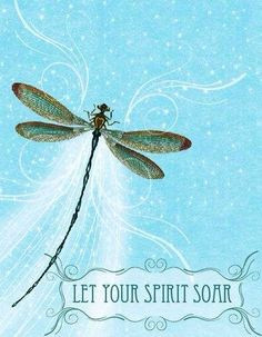Let your spirit soar More