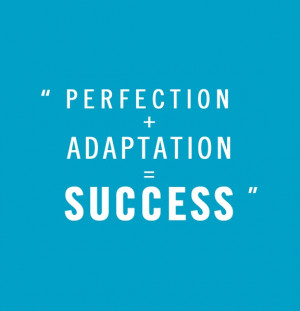 Perfection + Adaption = Success.