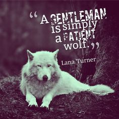 gentleman is simply a patient wolf.