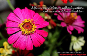 Famous quotes about 39Flowers39 QuotesSays COM