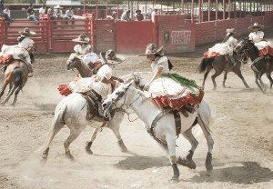 Escaramuza Quotes Escaramuzas tumblr - viewing