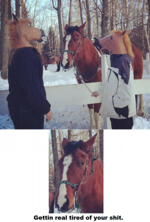 Horse is gettin real tired of your shit…