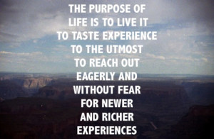 Wise Quotes About Life Experiences