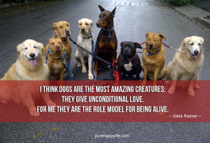 Love Quote: I think dogs are the most amazing creatures: They give ...