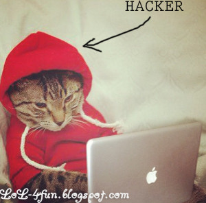Funny cat hacker